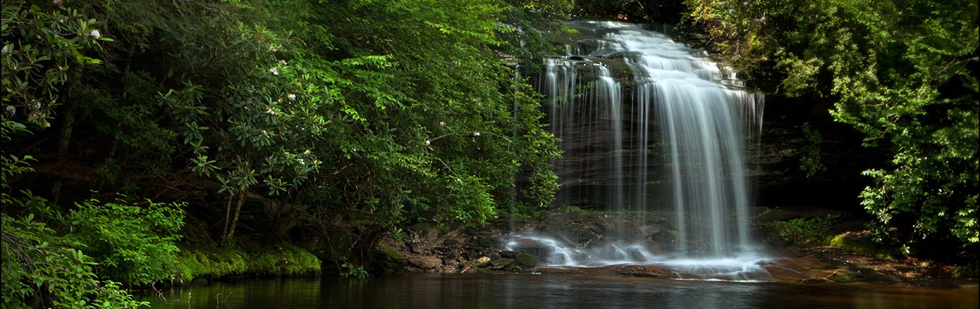 Brevard NC