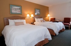 Cozy Comfort Double Room Hampton Inn