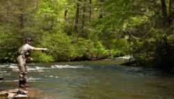 Headwaters Outfitters French Broad River