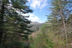 Vacation rental near DuPont Forest and Pisgah National Forest bike, hike, relax in rental home near DuPont and Pisgah Forest