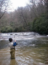 Fly Fishing on the French Broad River